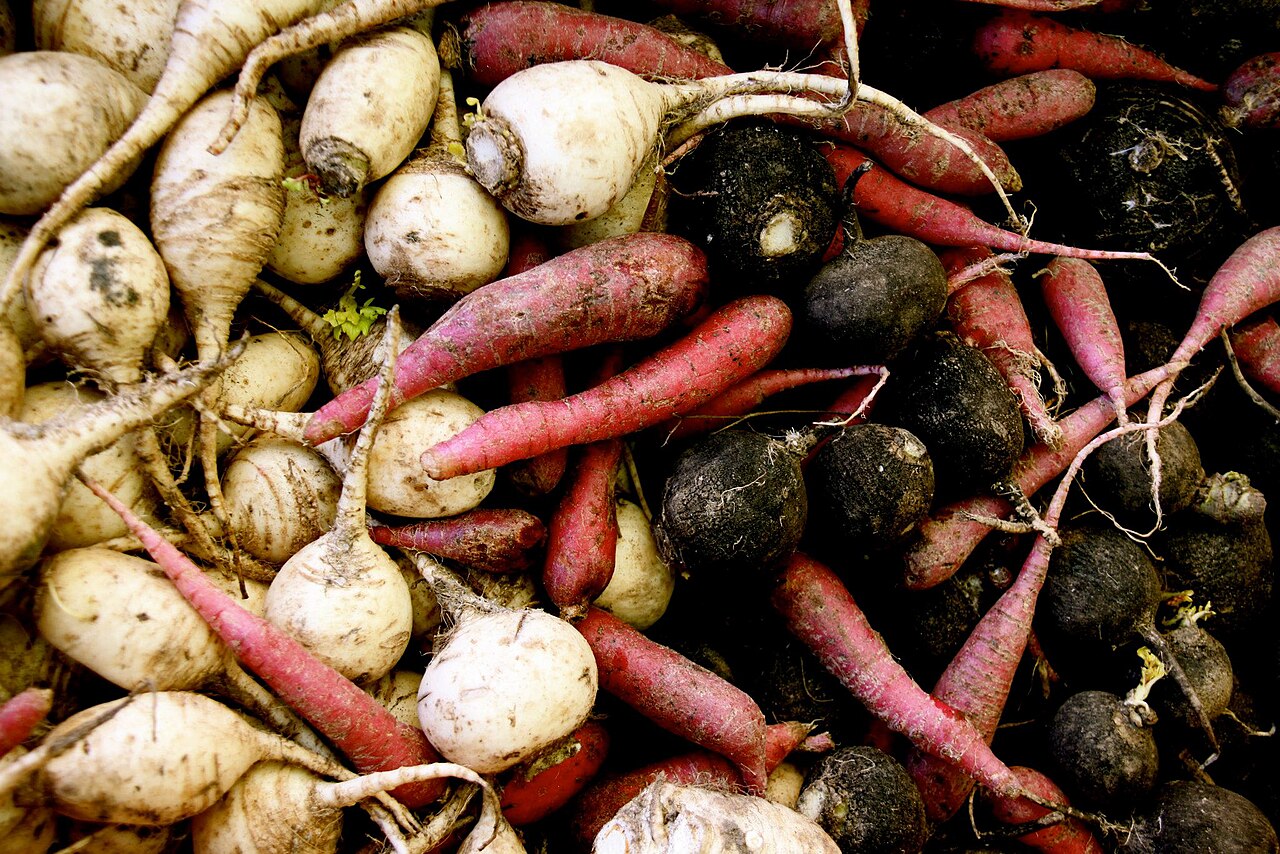 Piilonälkä: kun kalorit riittävät mutta ravintoaineet eivät